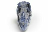 Carved Sodalite Dinosaur Skull #218481-2